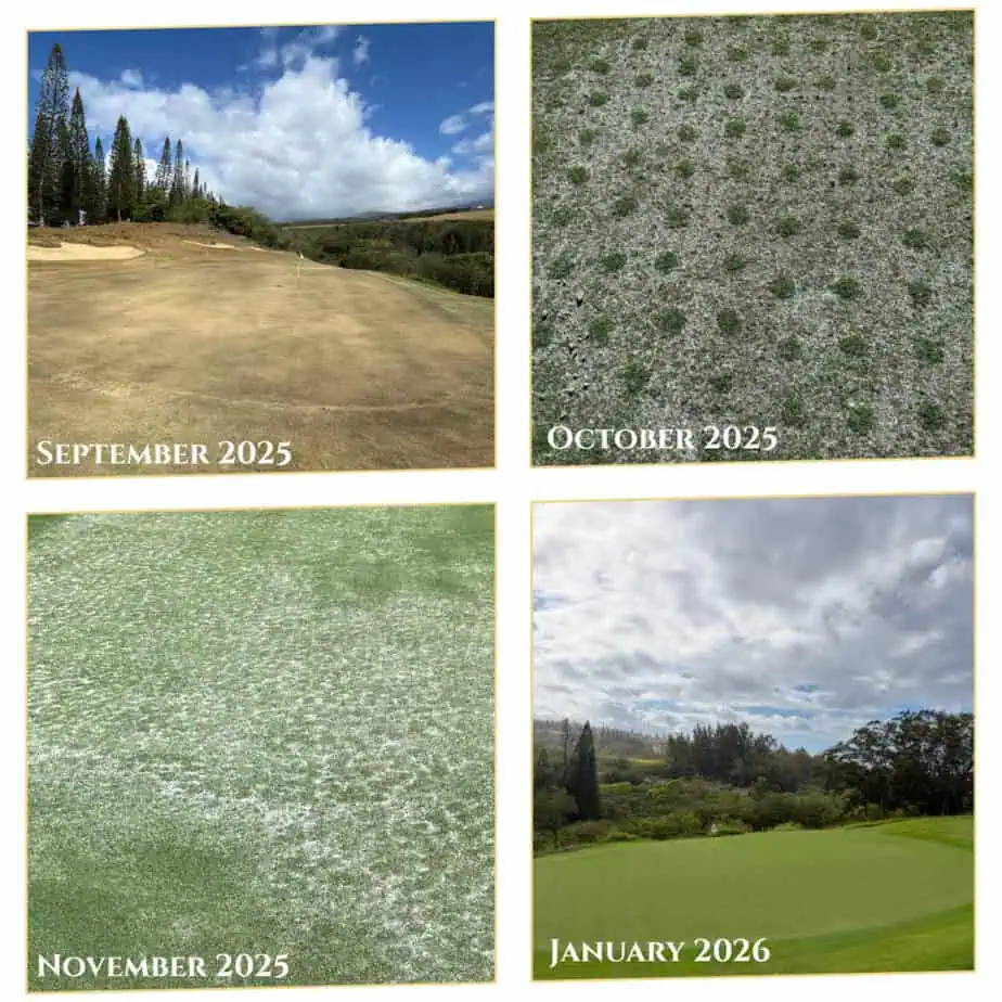 Kapalua Golf Progression Kapalua Golf Progression