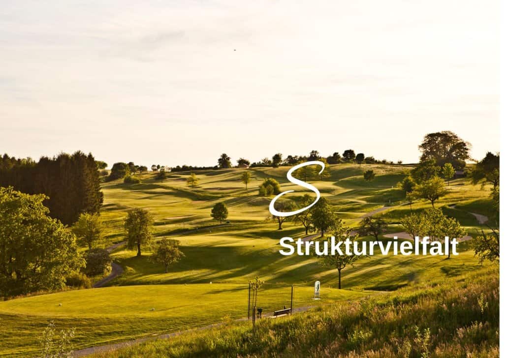 Biodiversitäts-Lexikon Struktur-Vielfalt