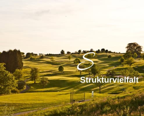 Biodiversitäts-Lexikon Struktur-Vielfalt