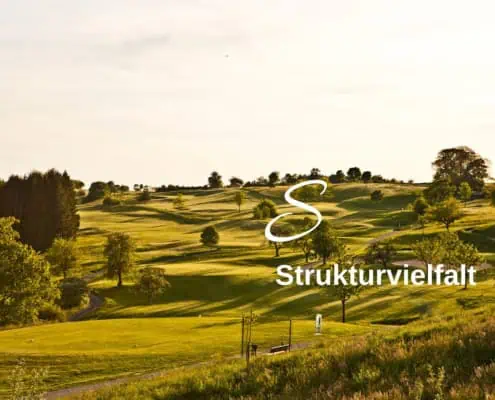 Biodiversitäts-Lexikon Struktur-Vielfalt