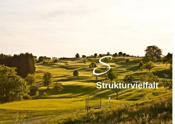 Biodiversitäts-Lexikon Struktur-Vielfalt