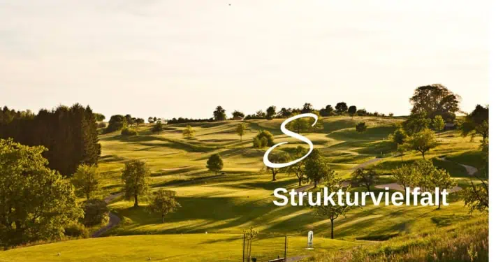 Biodiversity Lexicon Structural Diversity