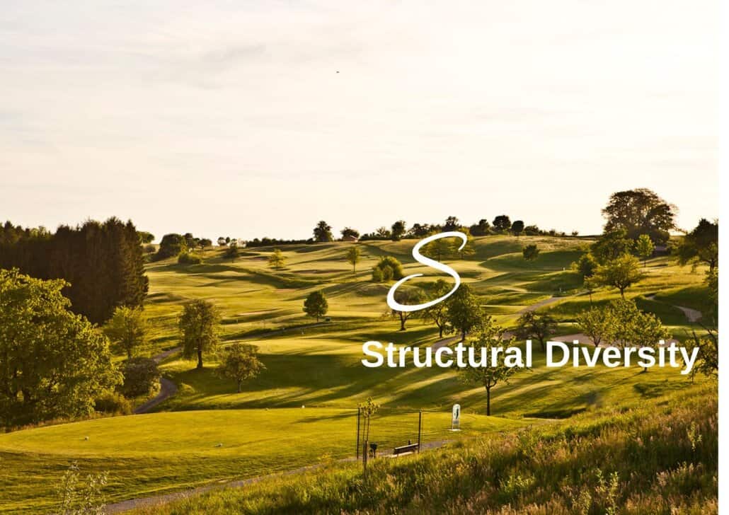 Biodiversity Lexicon: Structural Diversity