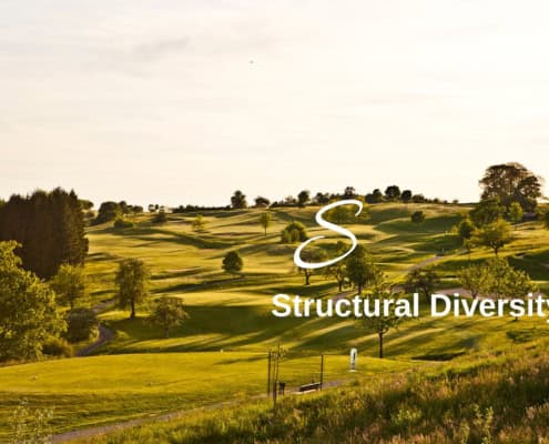 Biodiversity Lexicon: Structural Diversity