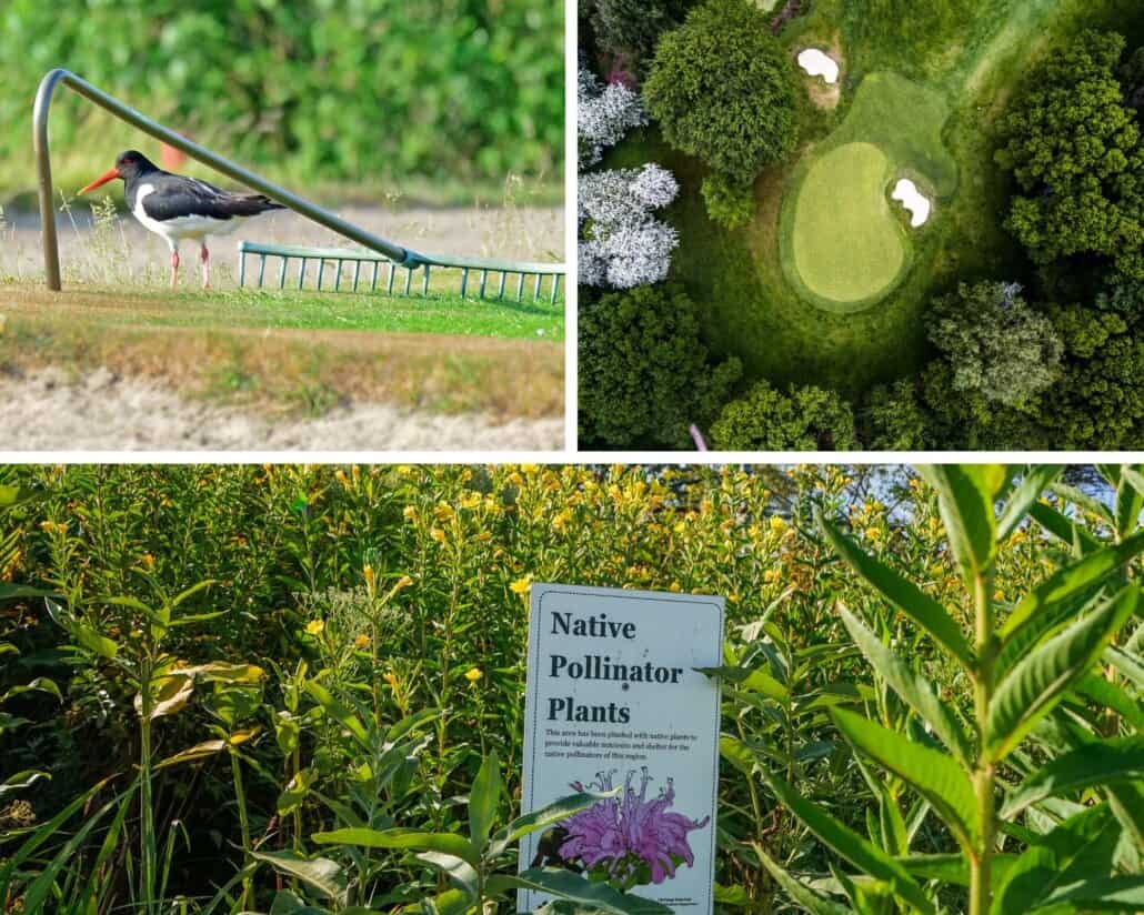 IPBES Report