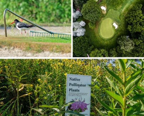 IPBES Report