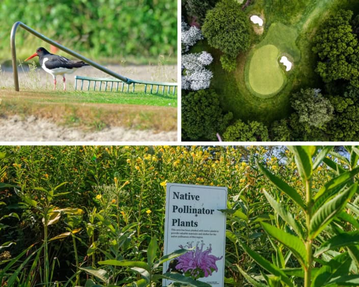 IPBES Report