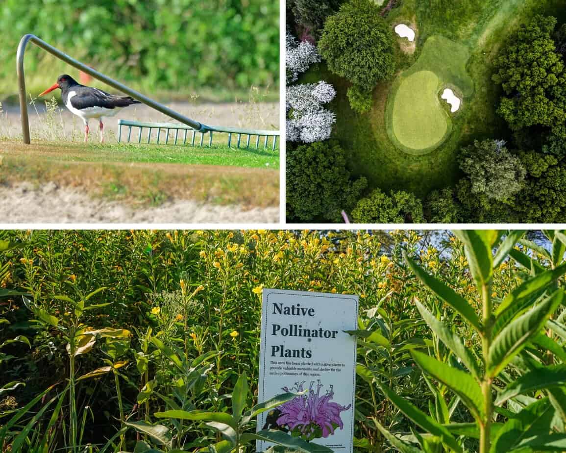 IPBES Report IPBES Report