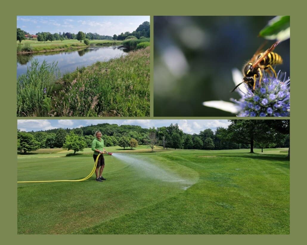 Bayerischer Golfverband stellt Umweltprojekte vor