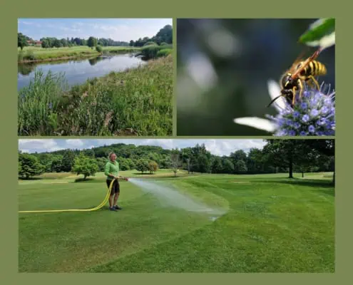 Bavarian Golf Association presents environmental projects