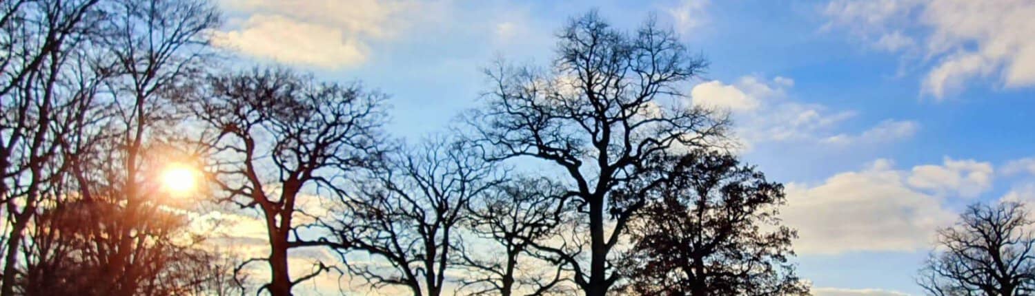 EU Nature Restoration Law