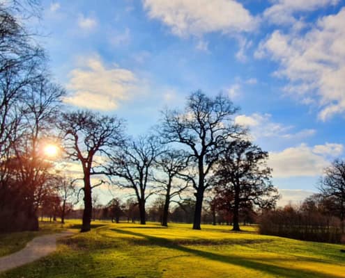 EU Nature Restoration Law