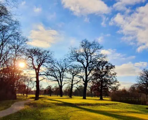 EU Nature Restoration Law