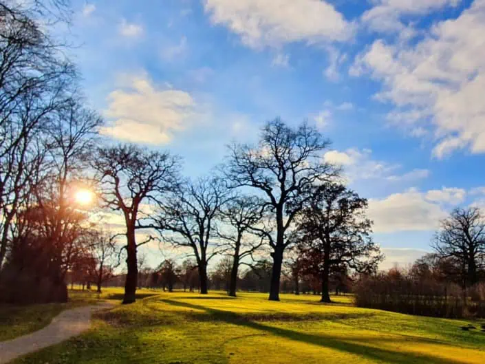 EU Nature Restoration Law