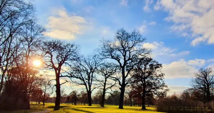 EU Nature Restoration Law