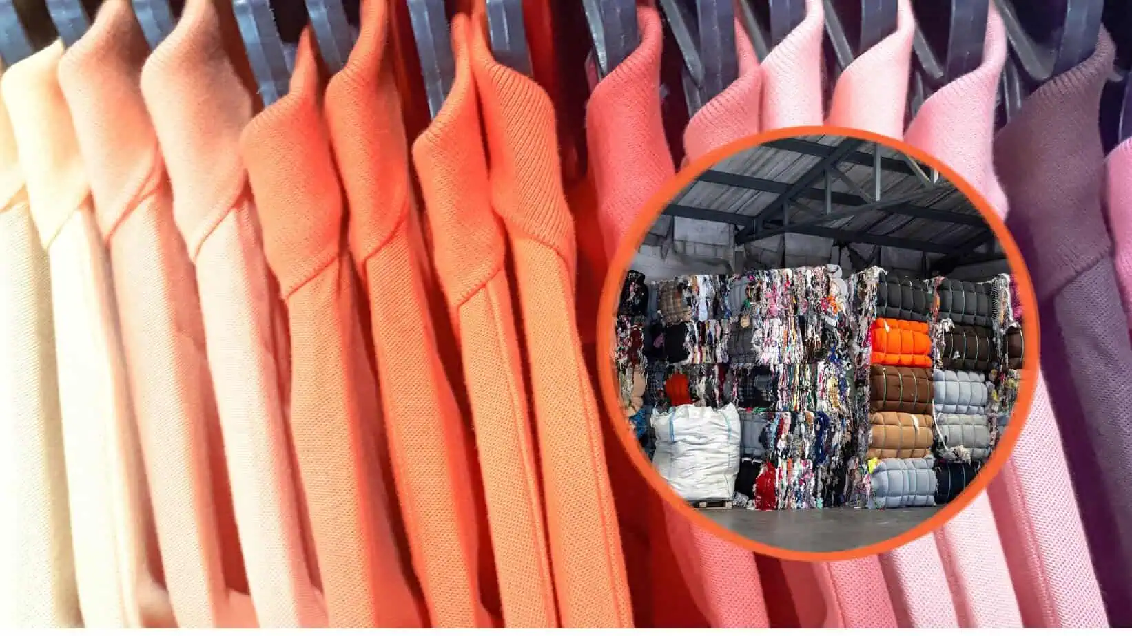 International Zero Waste Day