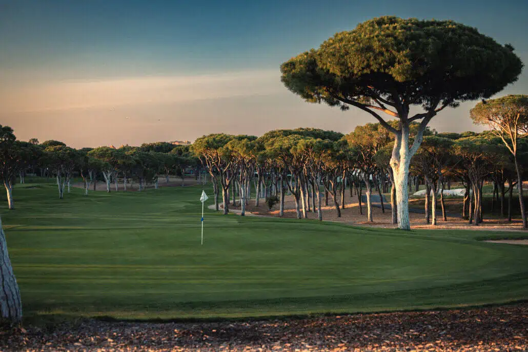 055_VILAMOURA_OLD_COURSE_Photo_Jacob_Sjoman_662A9960 copy