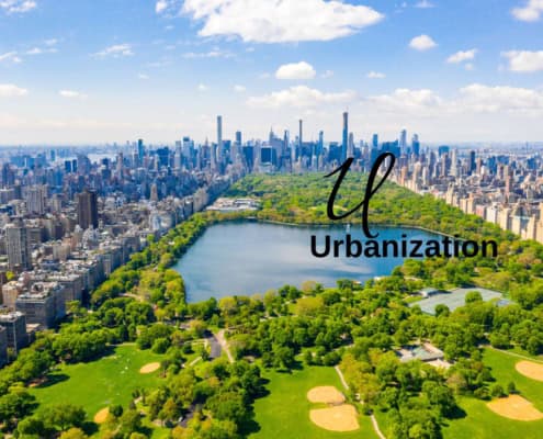 Urbanization