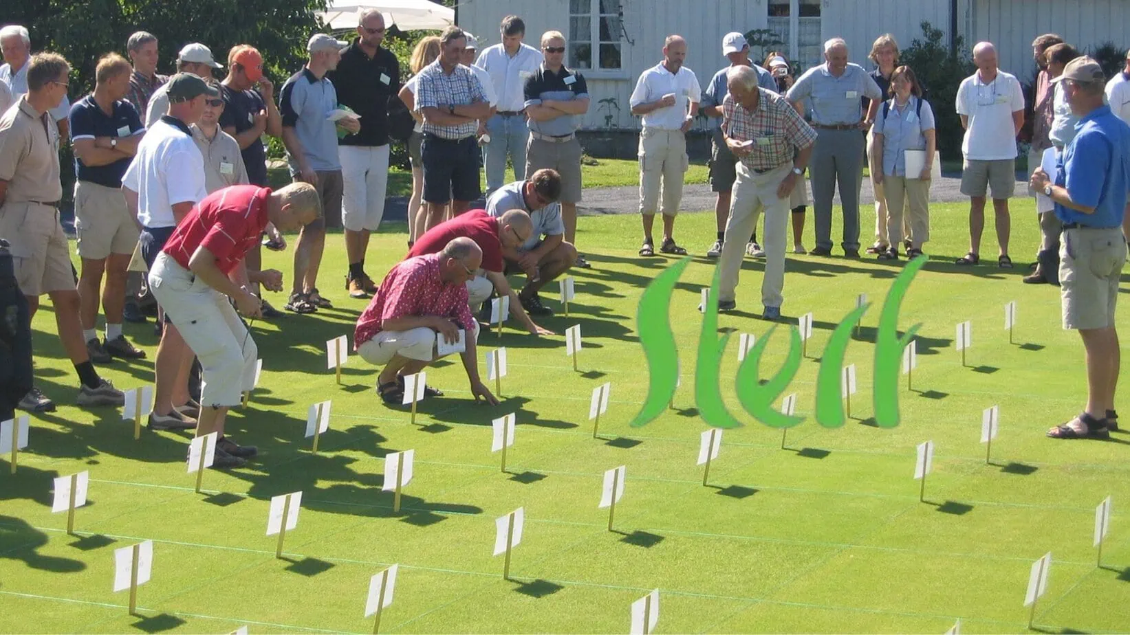 20th anniversary STERF 20th anniversary STERF