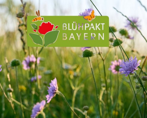 Blühpakt Bayern: Praxistag im GC Mainsondheim