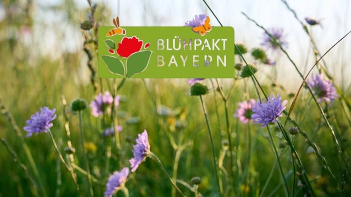 Blühpakt Bayern: Praxistag im GC Mainsondheim