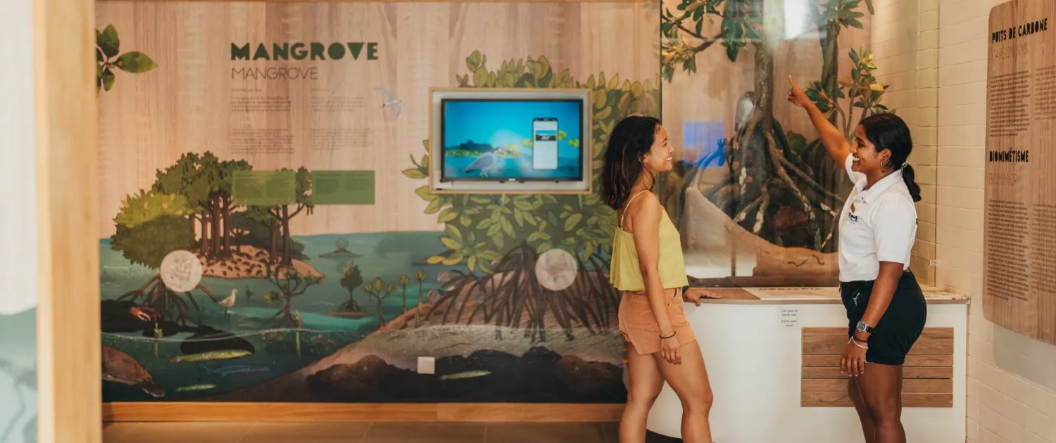 Marine Conservation Marine Conservation Center Bel Ombre