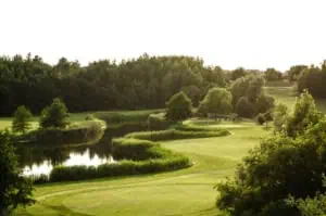 GC Gatow trees copyright Gatow