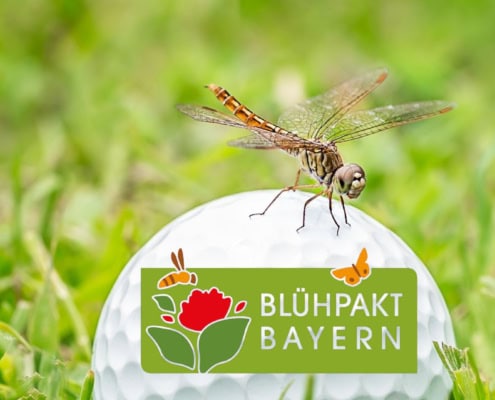 Blühpakt Bayern: Neuer Wettbewerb für Golfclub