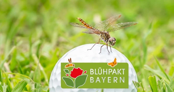 Blühpakt Bayern: Neuer Wettbewerb für Golfclub