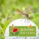 Blühpakt Bayern: Neuer Wettbewerb für Golfclub