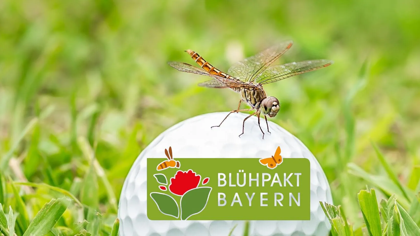 Blühpakt Bayern: New competition for golf clubs Blühpakt Bayern: New competition for golf club