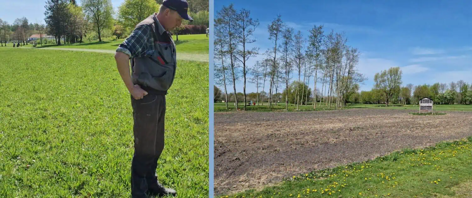 Newly laid out Hof Berg area with head greenkeeper Bertram Voss Head greenskeeper Bertram Voss inspects a newly planted flowering area at GC Hof Berg (photo Petra Himmel)