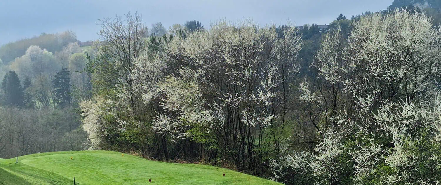 The Stegersbach golf resort scores with tranquillity and unspoilt nature