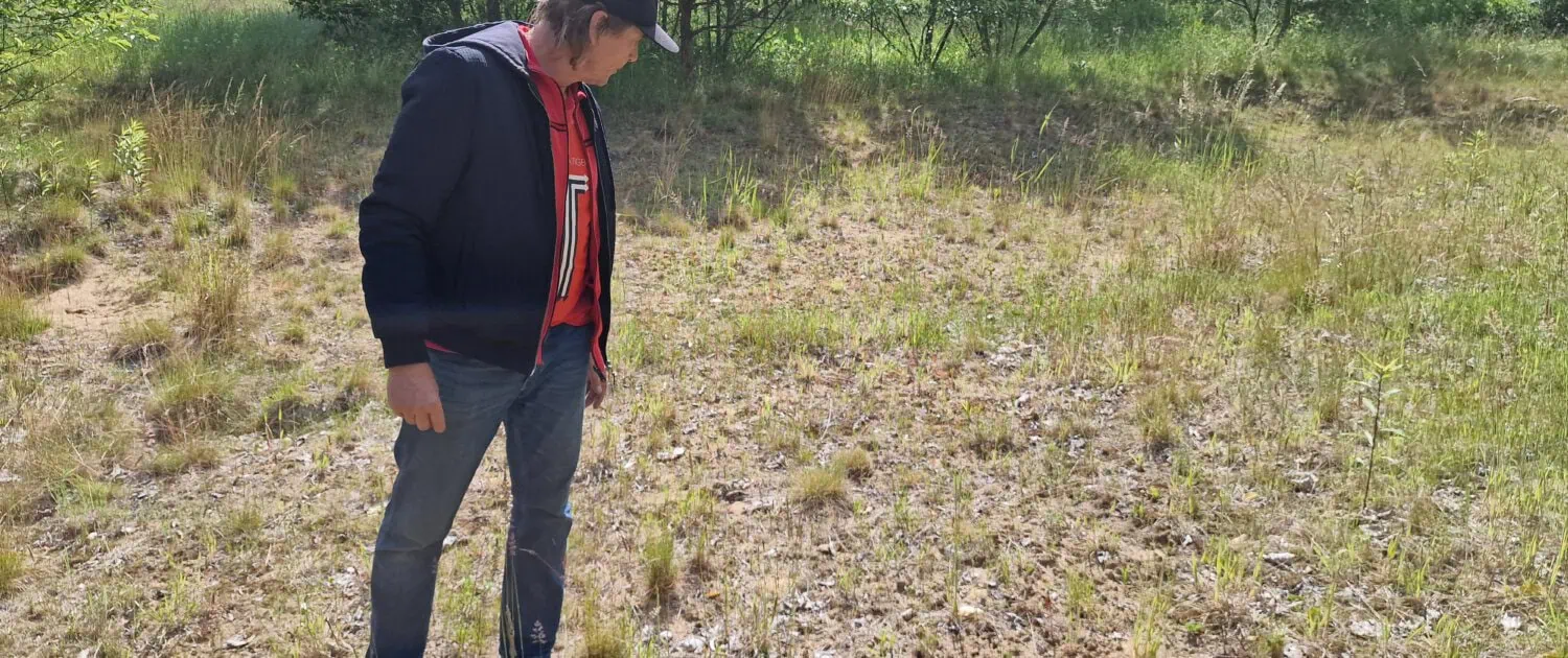 Christian Franke is examining the bare ground, which is particularly valuable for wild bees.