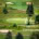 Biodiversity lexicon Vegetation connectivity