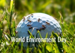 World Environment Day