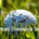 World Environment Day