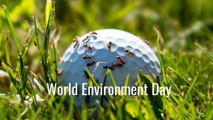 World Environment Day