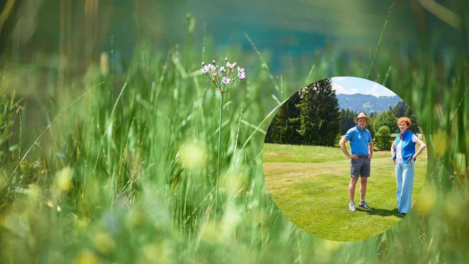 Blühpakt Bayern - Golfresort Sonnenalp