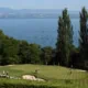 Golf: The Amundi Evian Championship