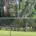 Trees, Deadwood, and Broken Green Branches Golf Sustainable