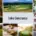 Golfing Lake Constance
