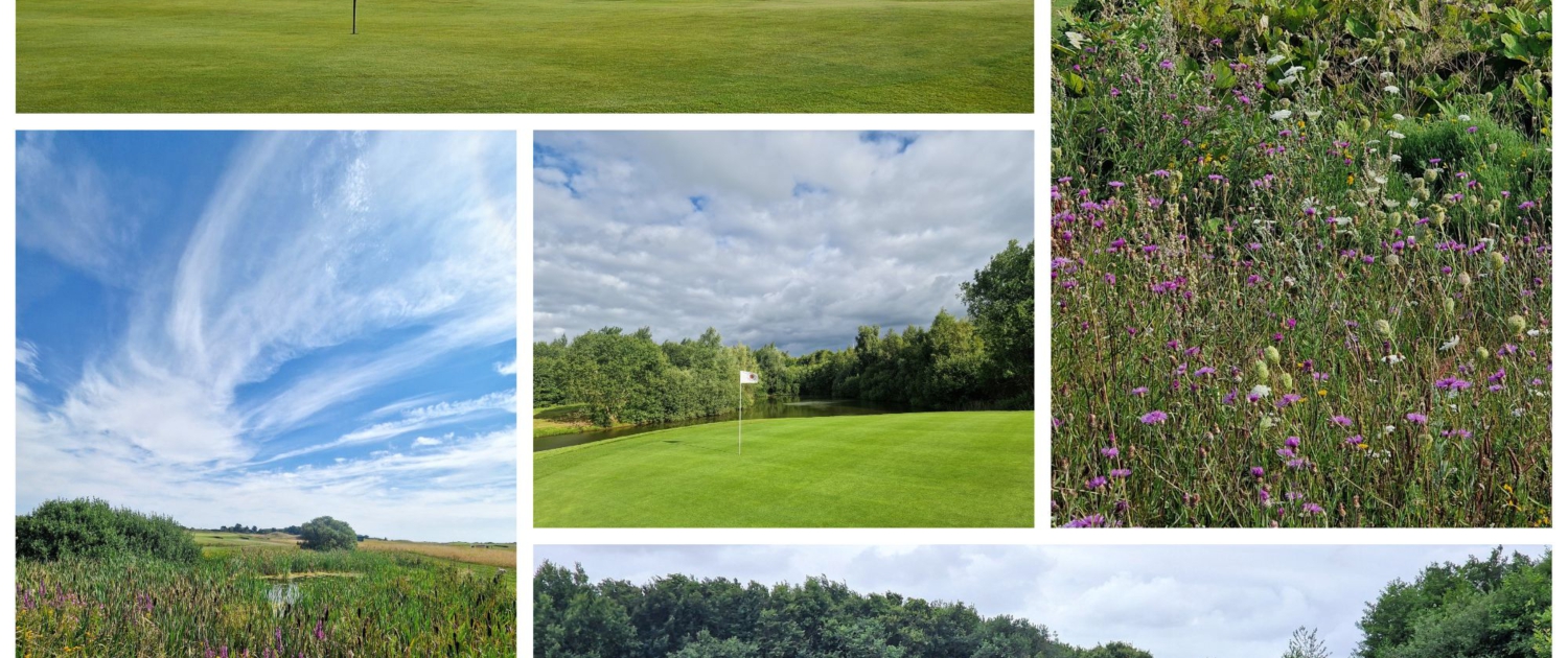 Golfer und CO2-Fußabdruck Golfer und CO2-Fußabdruck