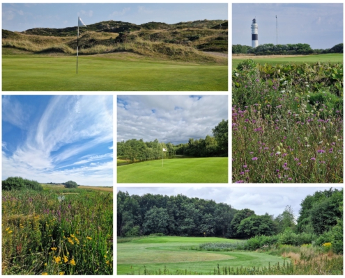 Collage Bilder GV Schleswig-Holstein