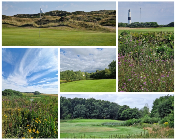 Collage Bilder GV Schleswig-Holstein