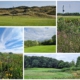 Collage Bilder GV Schleswig-Holstein
