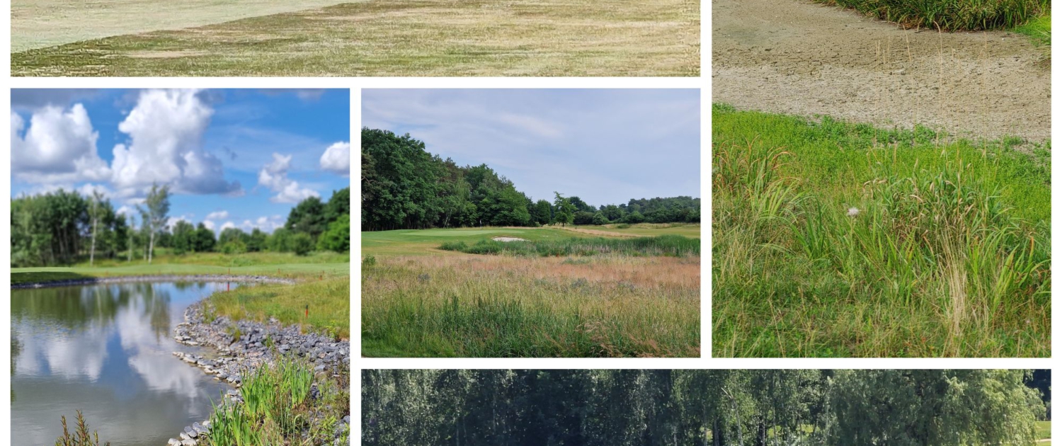 Golfer und CO2-Fußabdruck Golfer und CO2-Fußabdruck