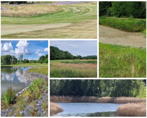 Golf Sustainable, Petra Himmel, Golf Course Design, Golf Course Architecture, Golf Club Management, Greenkeeping, Sustainability in Golf, Climate Change and Golf, Golf Course Renovation, Golf Course Redesign,Golf Sustainable Academy, GSA, Golf Resource Management, Golf Course Water Consumption, Golf Course Profitability, Golf Club Board, Golf Course Maintenance, Golf Course Groundskeeper, Toro, TurfRad, Toro Lynx, Water Management