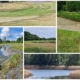 Golf Sustainable, Petra Himmel, Golf Course Design, Golf Course Architecture, Golf Club Management, Greenkeeping, Sustainability in Golf, Climate Change and Golf, Golf Course Renovation, Golf Course Redesign,Golf Sustainable Academy, GSA, Golf Resource Management, Golf Course Water Consumption, Golf Course Profitability, Golf Club Board, Golf Course Maintenance, Golf Course Groundskeeper, Toro, TurfRad, Toro Lynx, Water Management
