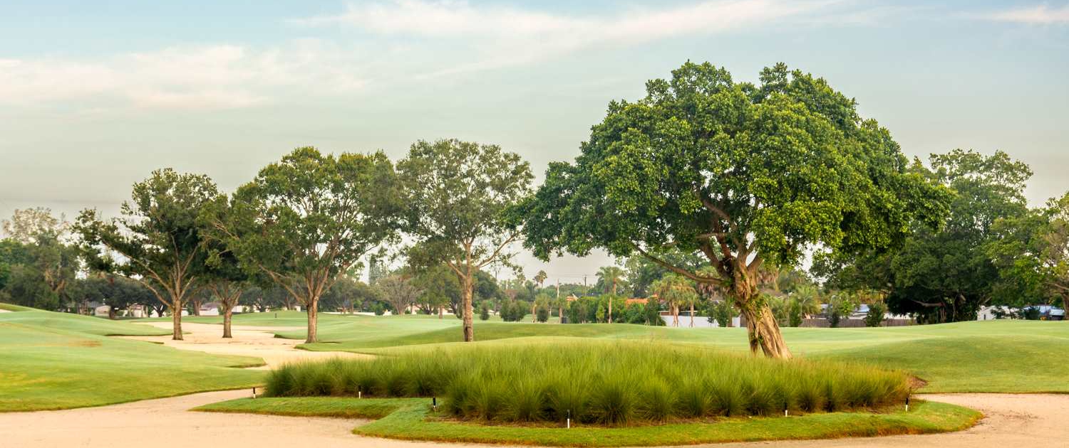 The oak trees between the fifth and sixth holes that inspired The Gate's logo klein Großer Oak Tree